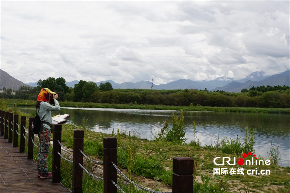 外地游客漫步在拉鲁湿地步道