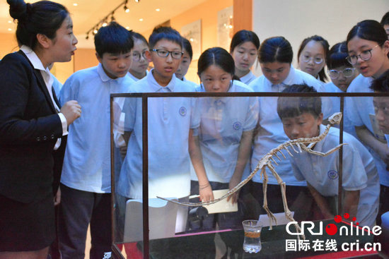 【河南原创】河南省首家中小学地质矿石博物馆在郑州高新区开馆