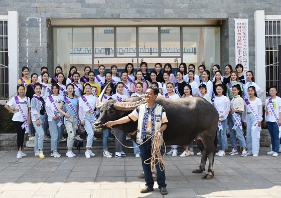 国际旅游小姐变身“牛女郎” 国际旅游小姐变身“牛女郎”