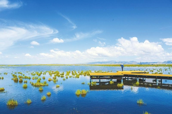 （转载）川西北高原治沙 种活一棵树难于养个娃