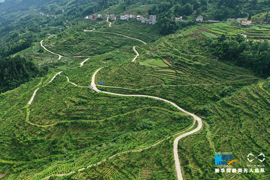 【“飞阅”中国】重庆苗乡：石漠化治理治出好风景