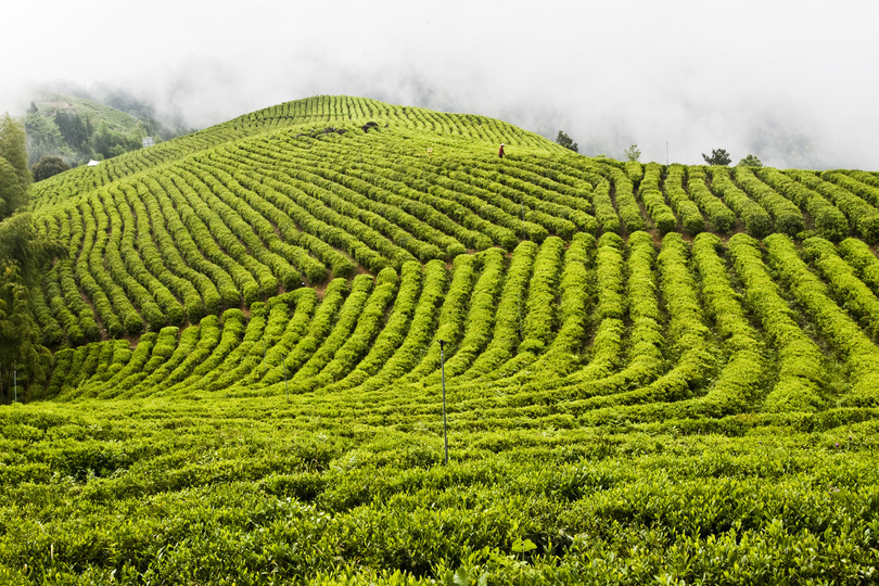 图片默认标题_fororder_20190529-1