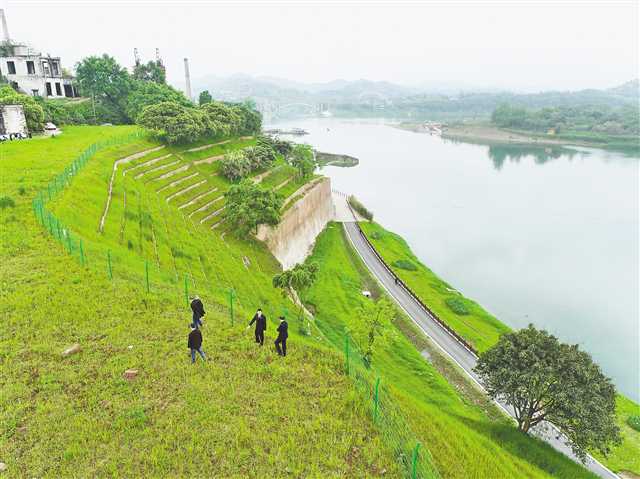 重庆“保护长江母亲河”公益诉讼三年专项行动成效显著