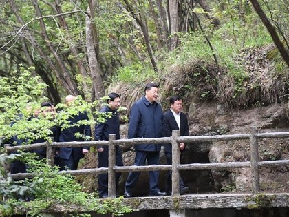 图片默认标题