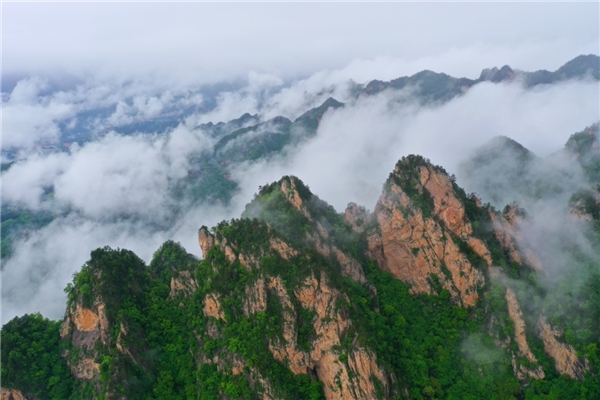 7月1日-8月31日,南阳老界岭森林避暑节嗨翻夏日旅行 7月1日-8月31日,南阳老界岭森林避暑节嗨翻夏日旅行