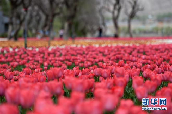 图片默认标题_fororder_5b