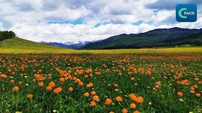 ข้อมูลชี้ ฉางซา กานซู่ ชิงไห่และซินเจียงกลายเป็นจุดหมายปลายทาง “ยอดนิยม” ช่วงเทศกาลตวนอู่_fororder_2021062105News2