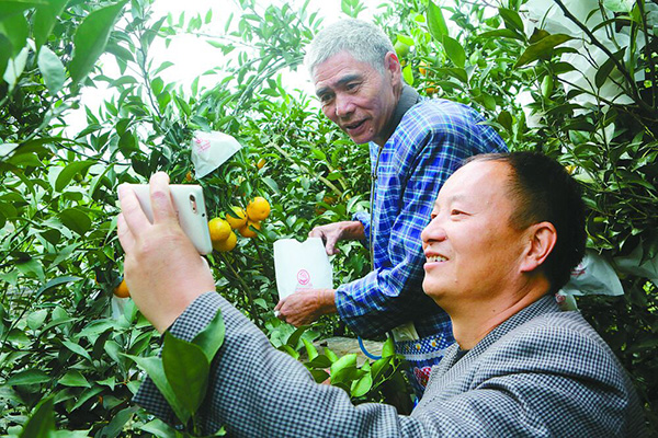 图片默认标题_fororder_2