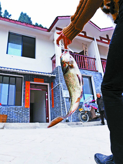 图片默认标题_fororder_5