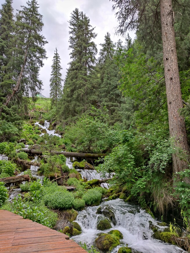 【新疆へ行こう⑤　天然ダム天池の環境】_fororder_天池２