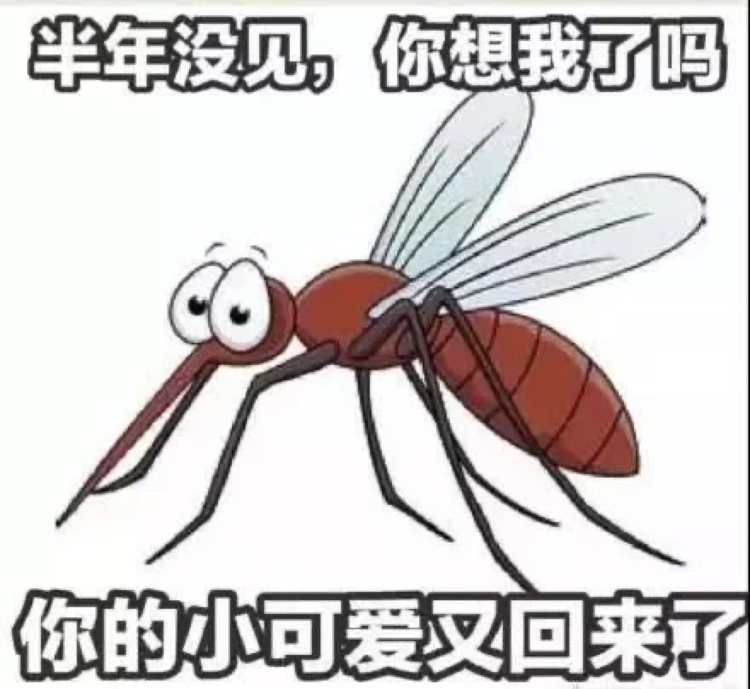 为什么被蚊子叮的总是你?