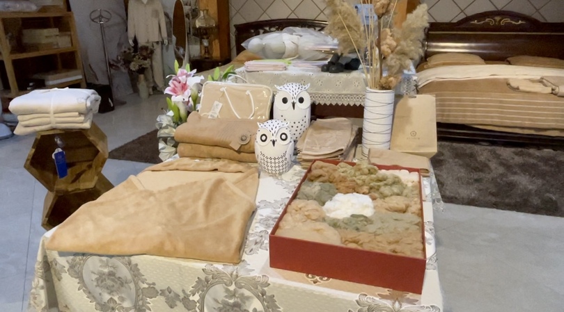 ผู้บริหารบริษัทฝ้ายสีในซินเจียงระบุปัจจุบันซินเจียงใช้เครื่องจักรเก็บฝ้ายเป็นหลัก_fororder_WechatIMG6421