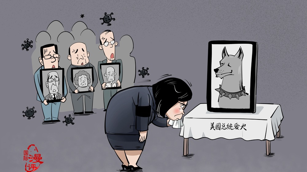 【国际漫评】人不如狗