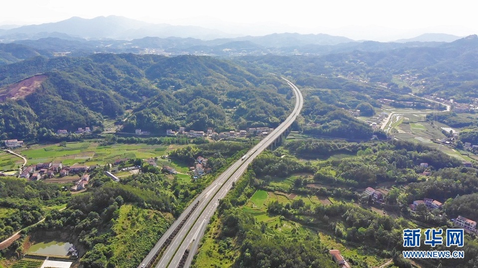 沿着高速看中国丨穿越大别山的致富路