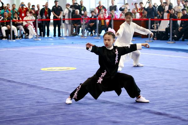 为打造全国领先的武术产业强省 河南又有新举措