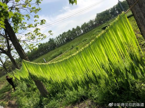 春游江淮请您来 ▏皖村徽韵 迢迢古镇远 春田迎客来 春游江淮请您来 ▏皖村徽韵 迢迢古镇远 春田迎客来