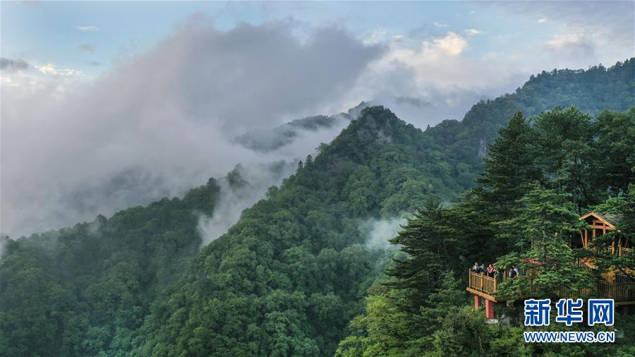 陕西略阳雨后初霁 森林公园美若仙境