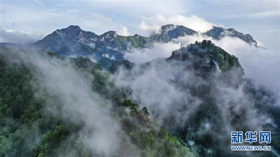 陕西略阳雨后初霁 森林公园美若仙境