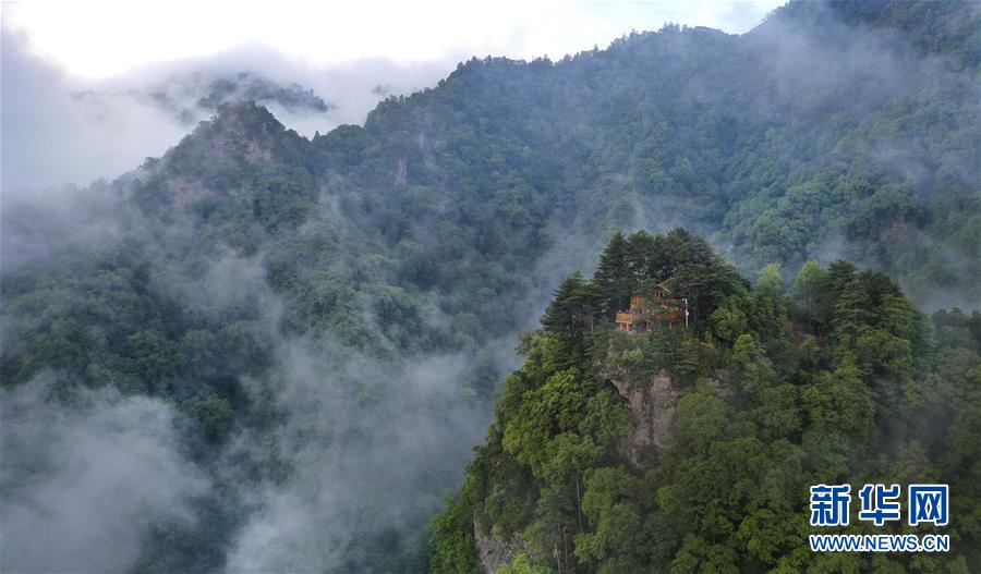 陕西略阳雨后初霁 森林公园美若仙境