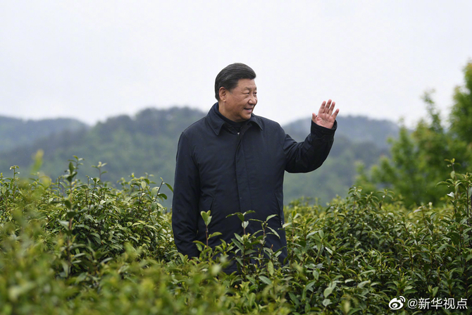 图片默认标题_fororder_平利锦屏8