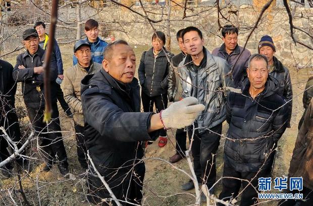 锻造领航复兴的中流砥柱——写在“不忘初心、牢记使命”主题教育即将启动之际