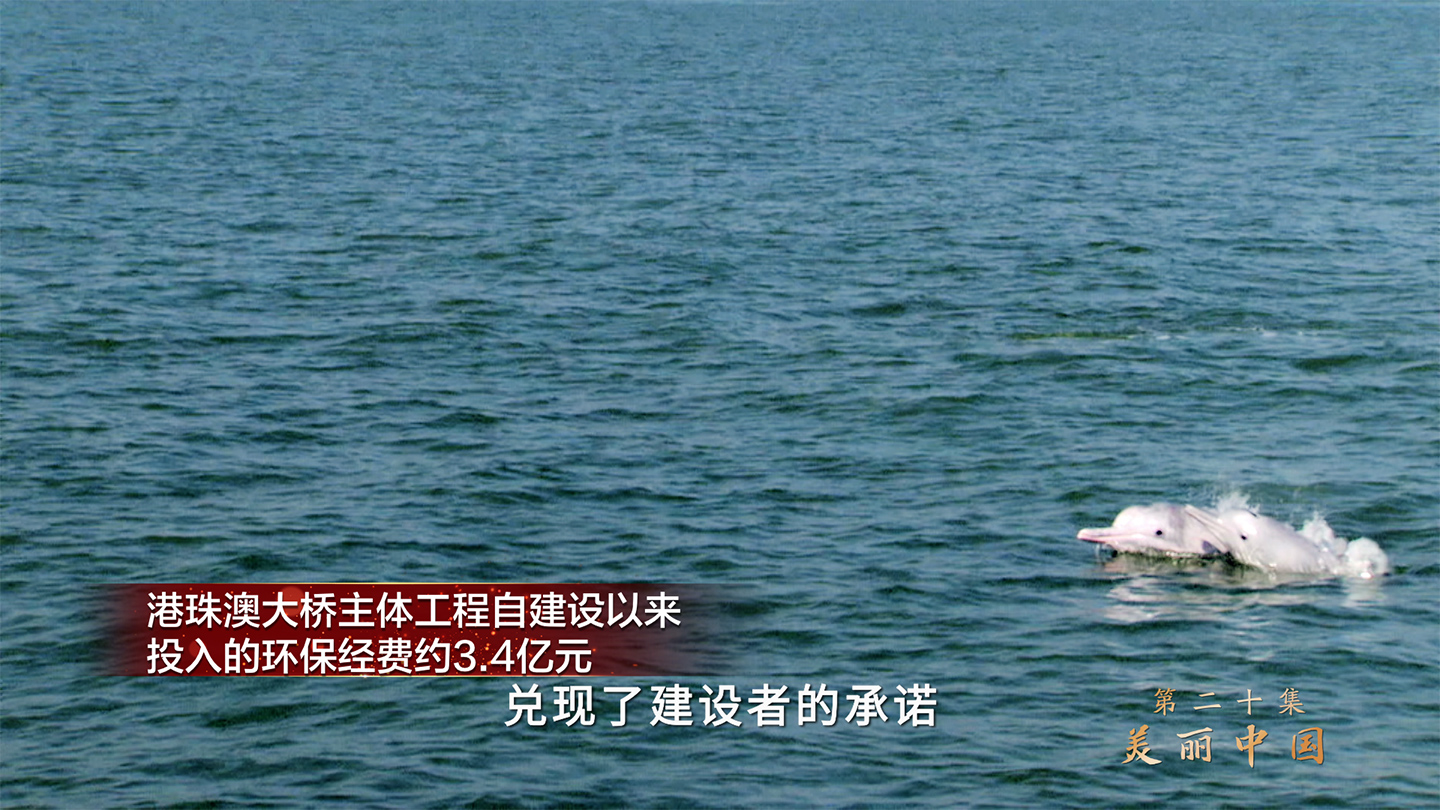 敢教日月换新天丨第十九集《文化自信》、第二十集《美丽中国》速览