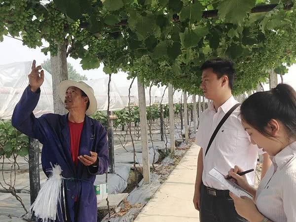 图片默认标题_fororder_1