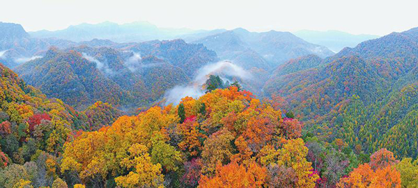 图片默认标题_fororder_1