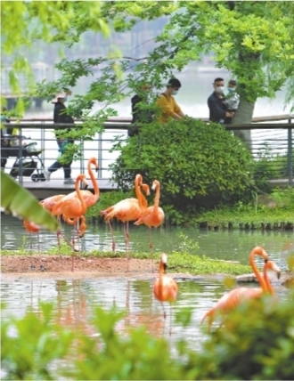 武汉动物园恢复开放