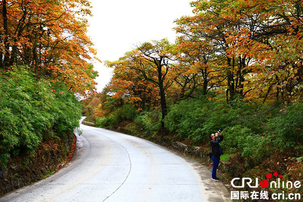 图片默认标题_fororder_8