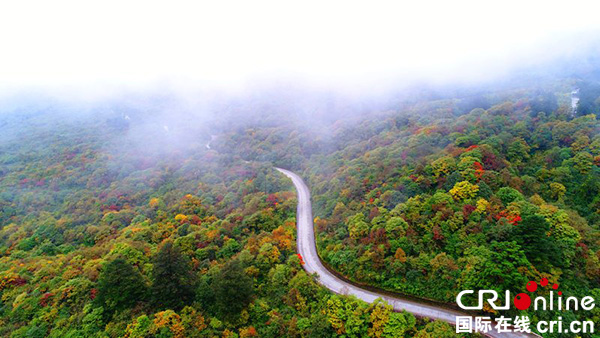 图片默认标题_fororder_3