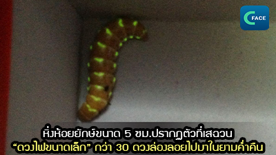 หิ่งห้อยยักษ์ขนาด 5 ซม.ปรากฏตัวที่เสฉวน “ดวงไฟขนาดเล็ก” กว่า 30 ดวงล่องลอยไปมาในยามค่ำคืน_fororder_202106308News1