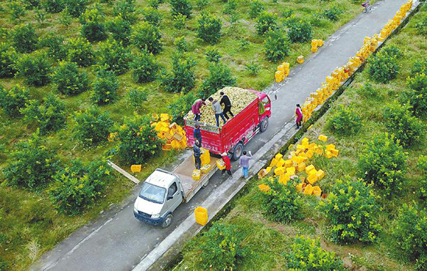 图片默认标题_fororder_1