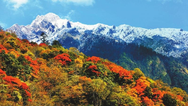 图片默认标题_fororder_4445b7791b8ec8669e6c746db36b1ed5