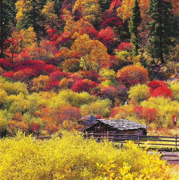 图片默认标题_fororder_d9557e53d0e983c89899a30b74894c46