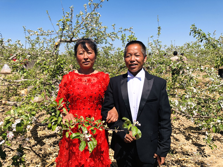 （已修改）“白头偕老——苹果树下的誓言” 延安市宝塔区首届苹果花婚纱摄影节活动举行