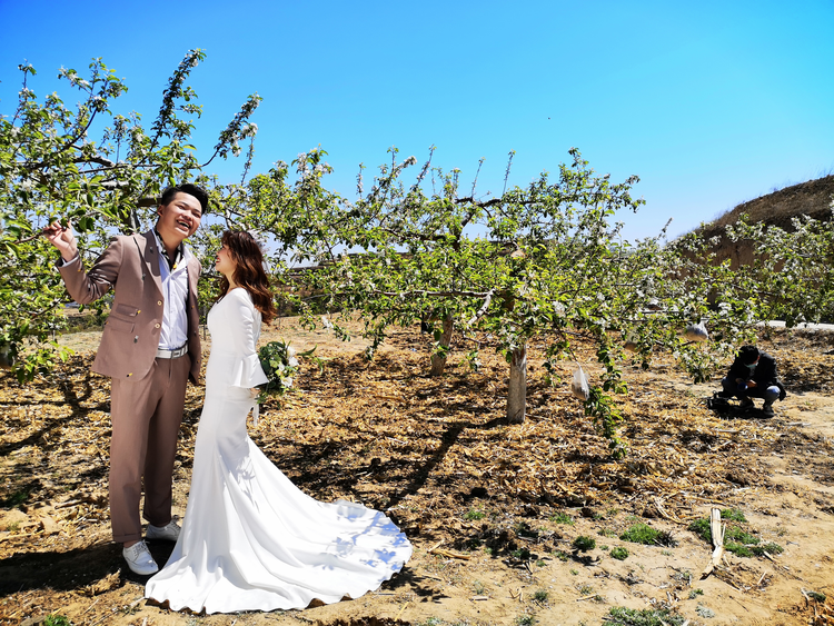 （已修改）“白头偕老——苹果树下的誓言” 延安市宝塔区首届苹果花婚纱摄影节活动举行