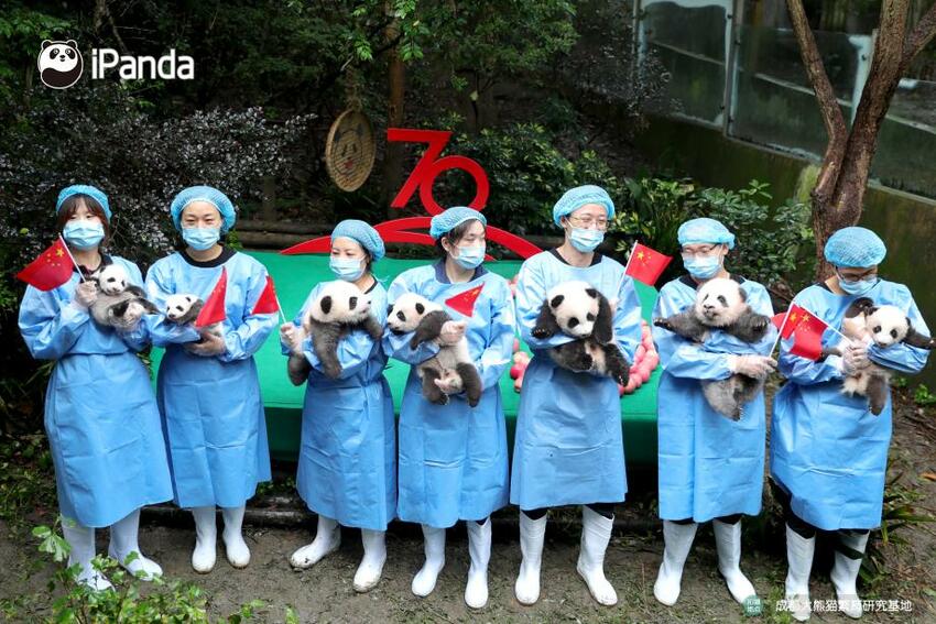 Jumlah Panda Raksasa Semakin Banyak, Tiongkok Berupaya Wujudkan Keharmonisan Manusia dengan Dunia Alam_fororder_PHOTdXSss6Ufigq2rHszir3u200908_920x700