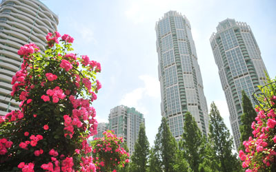 조선 평양시의 아름다운 풍경