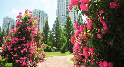 조선 평양시의 아름다운 풍경