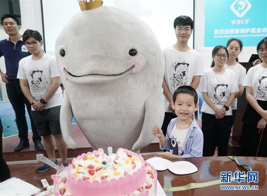湖北武汉：为小江豚过周岁