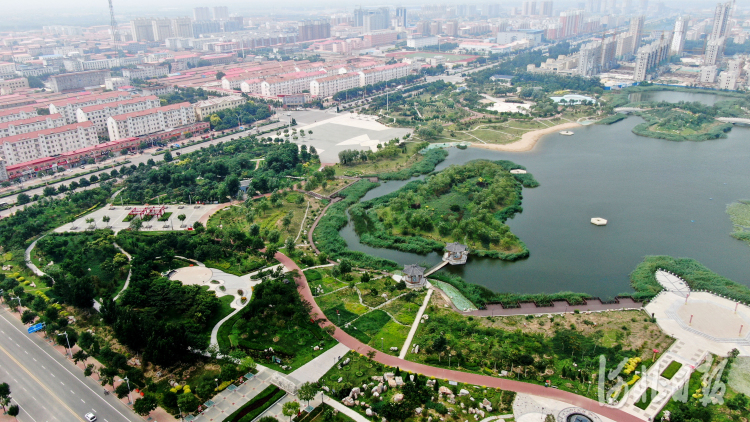 河北日报记者 张昊 摄影报道2021年7月9日拍摄的海兴县人民公园(无人