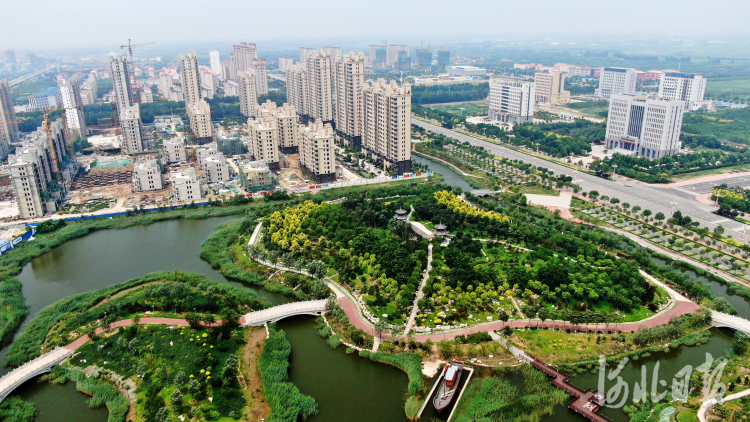 河北海兴：废弃坑塘变身生态公园