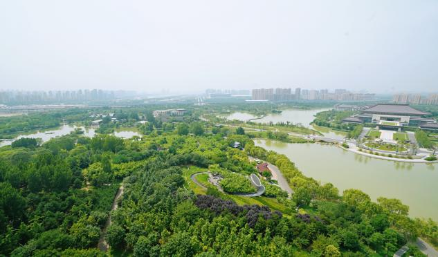 Foreign Ambassadors' Spouses Visited Chanba Ecological Area, the "Green Lungs" of Xi'an_fororder_浐灞3