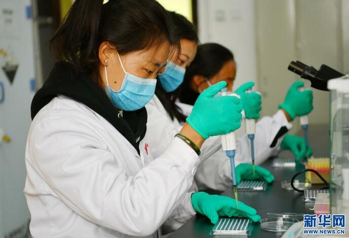 तिब्बत में नई श्रम शक्ति के लिए शिक्षा के वर्षों की औसत संख्या 13.1 वर्ष तक पहुंची_fororder_3