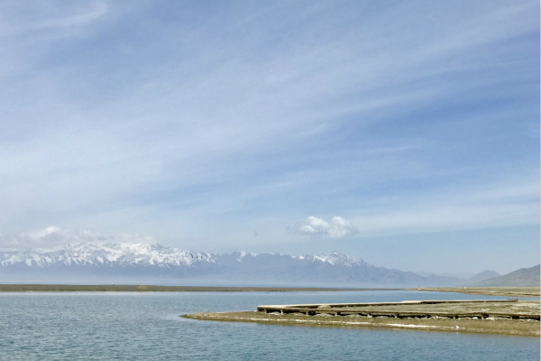 图片默认标题_fororder_3