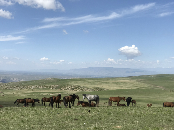 图片默认标题_fororder_4