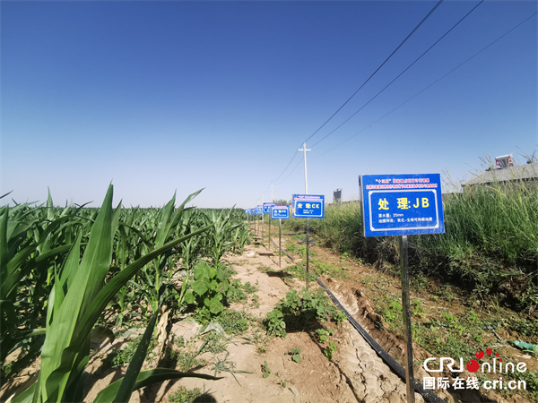 节水技术助力中国河套灌区增产_fororder_IMG_20210629_165116