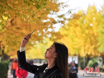 お便り紹介ー10月25日放送分