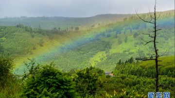 ග්‍රීස්ම ඍතුවේ Arxan ජාතික වනෝද්‍යානයේ දර්ශන